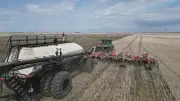 Seeding 97% Complete in Saskatchewan; Canada Wins First World Cup Match