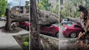 Severe Thunderstorm Causes Damage, Hospitalizes Multiple People in Montreal