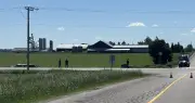 Sixth Person Dies in Mapleton Crash, Golfer Faces Backlash, Brantford School Renamed