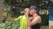 Social Media Sensation 'Summertime in the Loo' Celebrates Connection in Kitchener-Waterloo