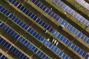Solar Power Hits New U.S. Milestones as Trump Boosts Coal