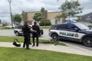 South Simcoe Police Arrest Three, Recover Two Bikes in Two Hours