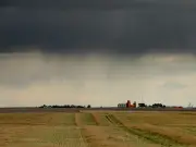 Southern Alberta Farmers Hail 'Million Dollar Rain' After Heavy Downpour