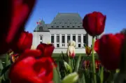 Supreme Court of Canada upholds tax ruling against poker players