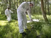 Tick Migration Expands Lyme Disease Risk in Windsor-Essex Region