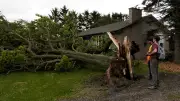 Tornado Tears Through Glencoe Area, Residents Describe Destruction