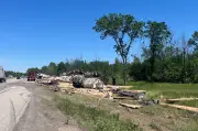 Tractor Trailer Spills Lumber Load in Crash on Hwy. 401 Near Brockville