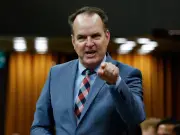 Transport Minister pressed on concrete action against airport bag tag swaps