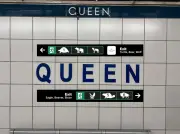 TTC Board Split Over Indigenous Animal Icon Wayfinding Proposal