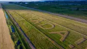 Vancouver Airport Workers Carve Welcome Message for Team Canada in Grass