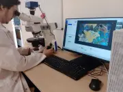 Vema Hydrogen and First Atlantic Sign LOI for Engineered Mineral Hydrogen in Newfoundland