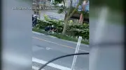 Video Shows 'Aggressive' Arrest of Cyclist in Toronto, Lawyer Says