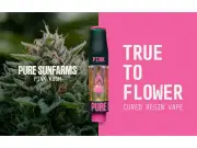 Village Farms Launches Pure Sunfarms Pink Kush Cured Resin Vape in Canada