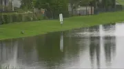 Wastewater Systems Overflow in Several Regions Outside Edmonton Due to Rainfall