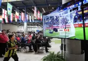 Where to Watch FIFA World Cup in Waterloo Region: Guide