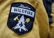 Wildfire Season Could Still Flare Up Despite Heavy Rainfall