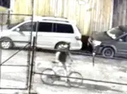 Windsor Police Seek Arson Suspect in Walkerville Business Fire