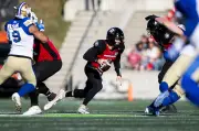 Winnipeg Blue Bombers Reacquire QB Dru Brown in Trade with Ottawa RedBlacks