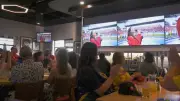 Winnipeg Embraces FIFA World Cup Excitement with Citywide Celebrations