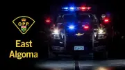 Woman Accused of Punching Person Who Asked Her to Leave in Northern Ontario