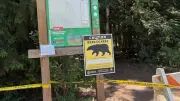 Woman attacked by bear after off-leash dog chased cub on B.C. trail