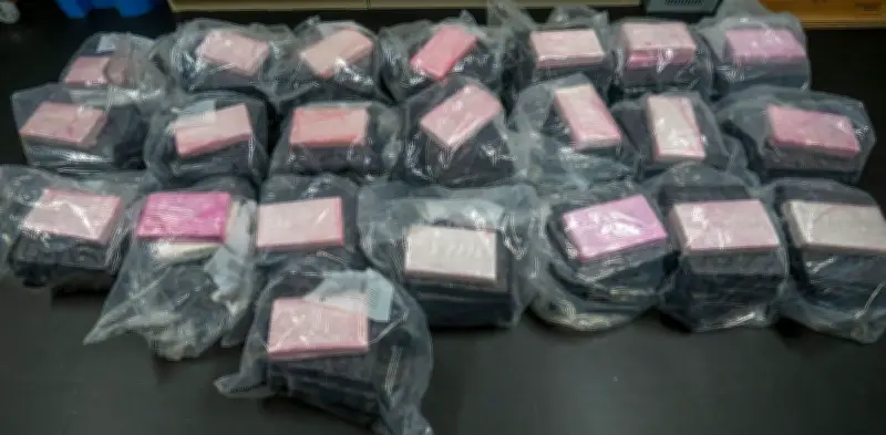 6 Kitchener Residents Charged in $20 Million Cocaine Seizure
