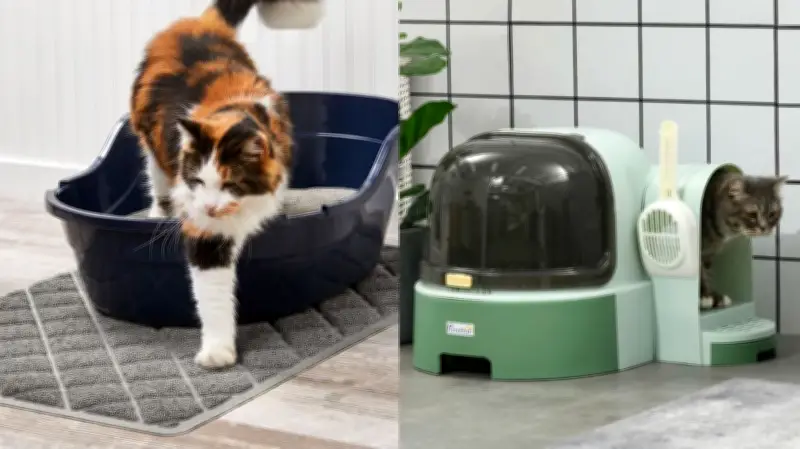9 Products to Stop Cat Litter Tracking in Your Home