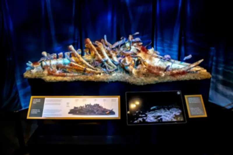 Alberta Art Exhibit on Mortality Celebrates Life and Legacy