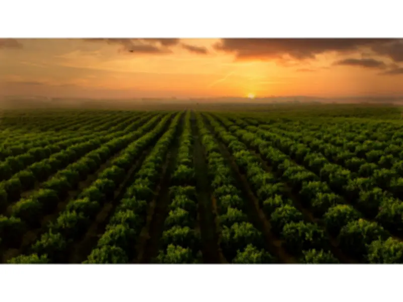 AMFRESH and Paine Schwartz Extend Partnership to Accelerate Fresh Food Innovation