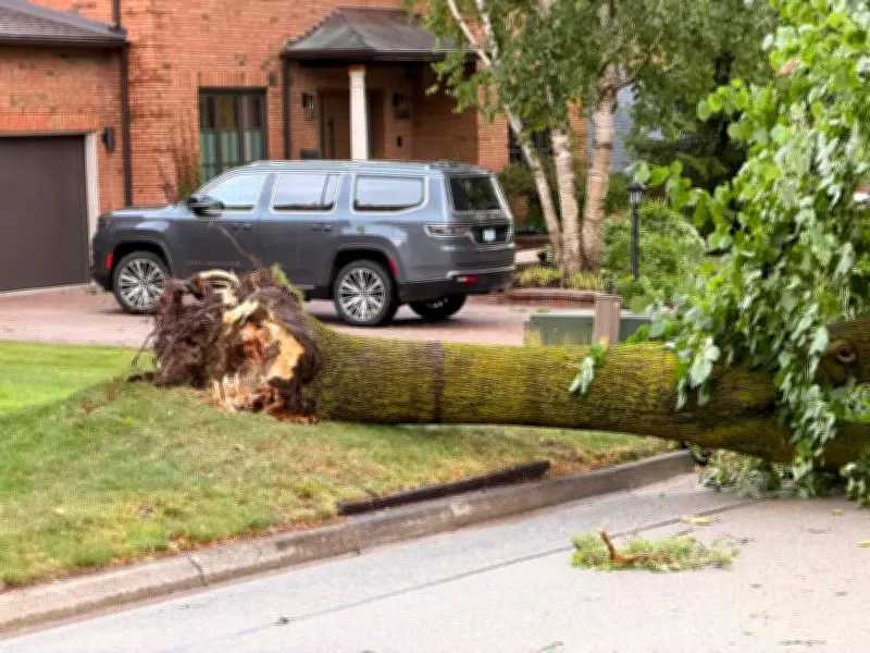 Aurora Storm Clean-Up Underway After Severe Damage