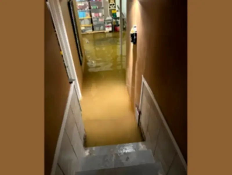 Basement Flooding Reported in Parts of Windsor-Essex