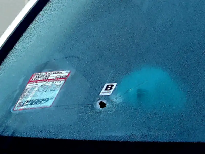 B.C. civil forfeiture targets vehicle used in Surrey extortion shooting