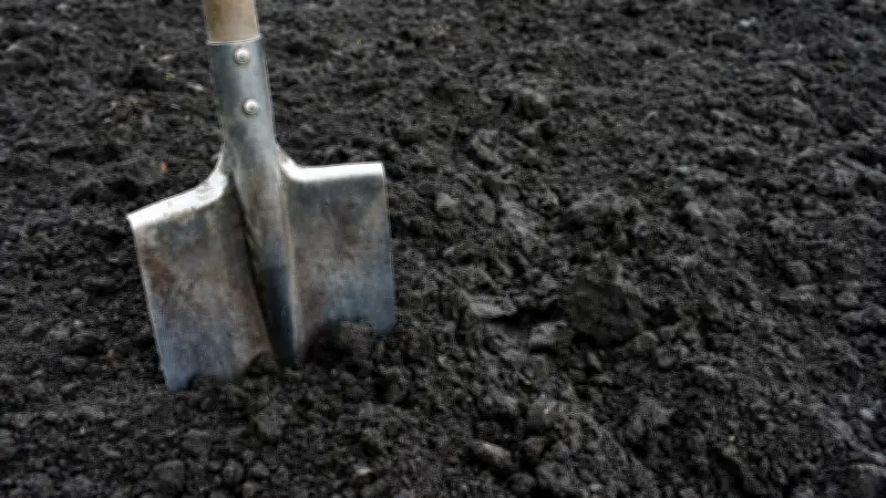 B.C. man owes $2,320 for gas line damage, but not for crew meals