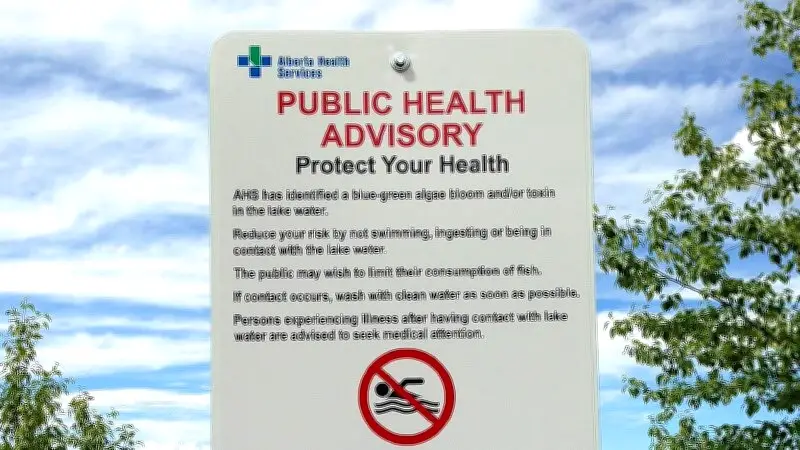 Blue-green algae bloom at Isle Lake prompts water advisory