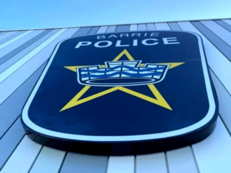 Bystanders Help Security Guard Pin Down Alleged Thieves at Barrie Canadian Tire