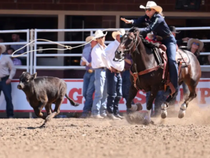Cheyanne McCartney's Dream Roping Run at Calgary Stampede