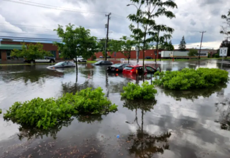 Class action lawsuits filed against DDO, Pierrefonds-Roxboro after floods