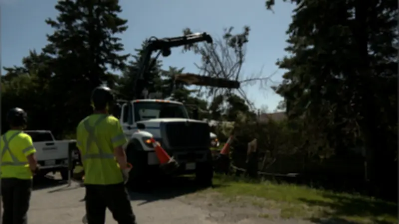 Cleanup Underway After Severe Storm Hits Simcoe County