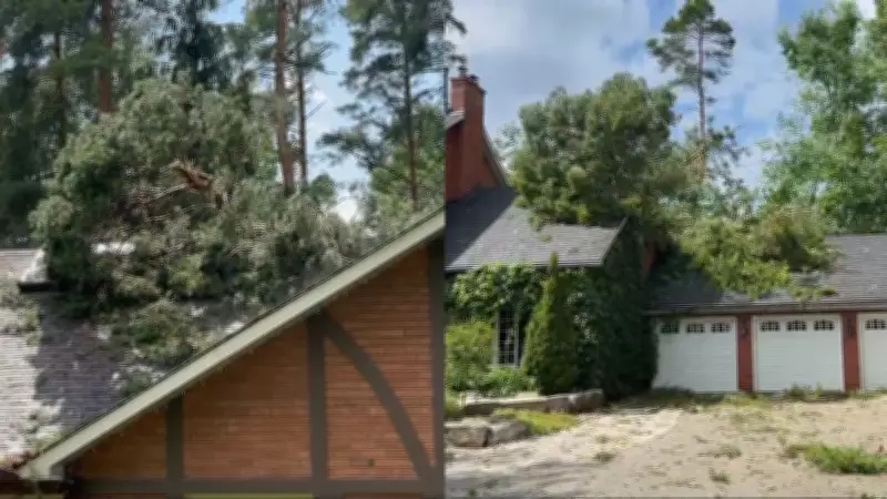 Cleanup Underway in Aurora After Storm Topples Trees, Power Lines