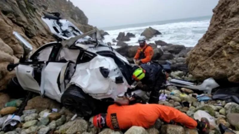 Dharmesh Patel cliff crash charges dismissed after mental health program