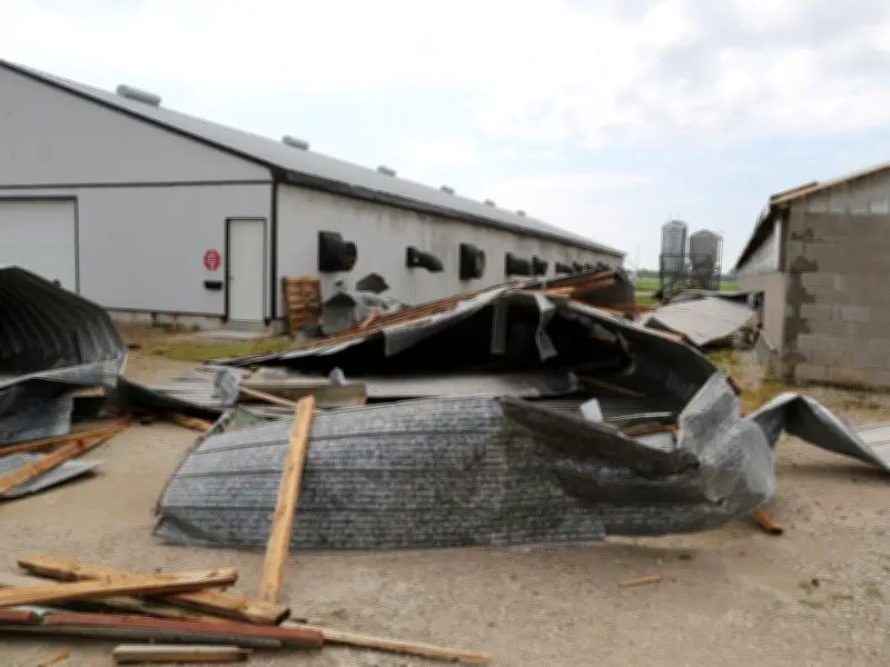 Essex County Storm Aftermath: Barn Fire, $90K Damage, Festival Injuries