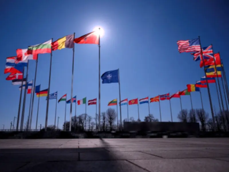 Europe Replaces Most U.S. Cuts Within NATO, Top Commander Says