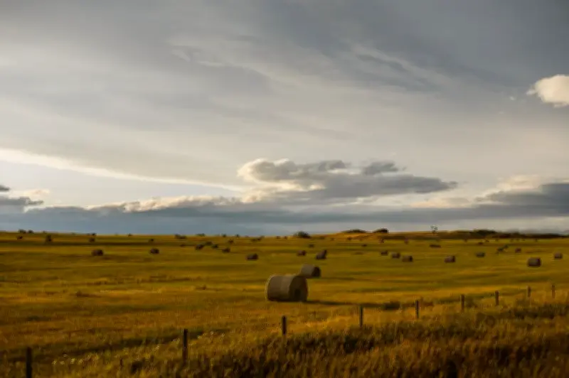 Farm Credit Canada needs new mission and more transparency: Charlebois