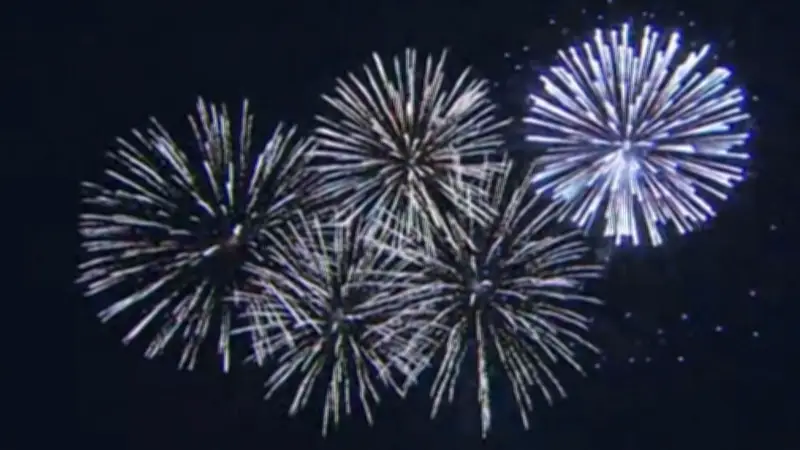 Fire Risk Delays Canada Day Fireworks in Newfoundland and Labrador