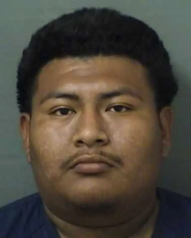 Florida Man Charged After Severely Neglected Pig Found