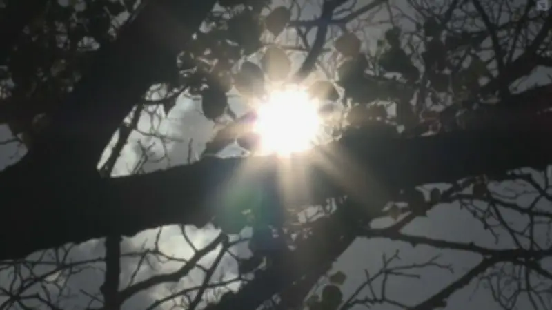 Heatwave Continues into Canada Day: Up to 37°C Expected in Simcoe County