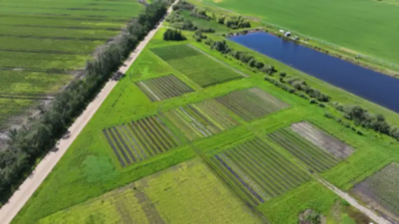 Historic Rain Devastates Organic Farm North of Edmonton