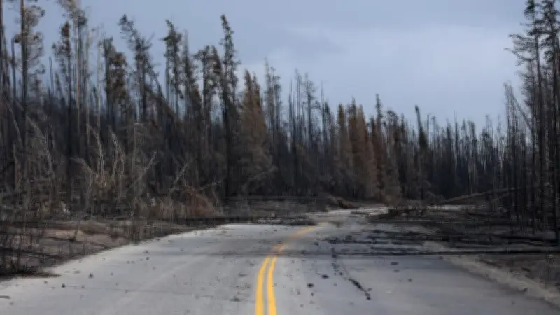 Jasper National Park Recovery Two Years After Wildfire: What's Open and Closed