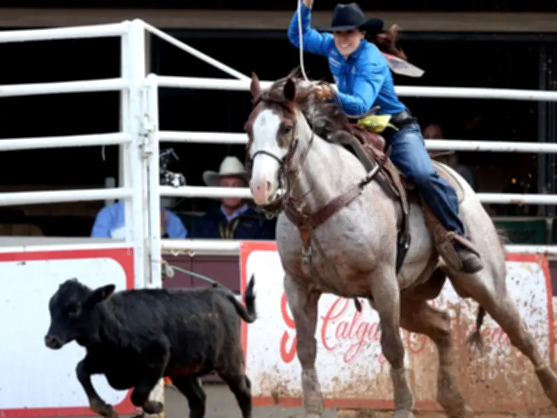 Jenna Dallyn ropes way to Championship Sunday at Calgary Stampede