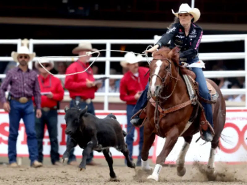 Megeds Sweep Calgary Stampede Rodeo Day 2 Wins on July 4